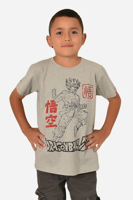 Collection image for: Camisetas de Niño