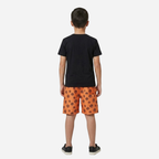 Conjunto De Niño Dragon Ball Z Camiseta + Pantaloneta Ref. 41115