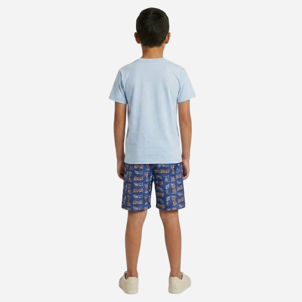 Conjunto De Niño Dragon Ball Z Camiseta + Pantaloneta Ref. 41117